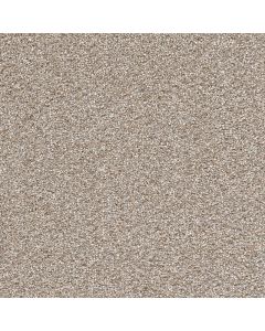Dreamweaver Cape Cod Iron Frost Carpet - DW-2540-815