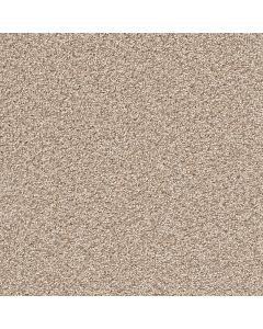 Dreamweaver Cape Cod Linen Carpet - DW-2540-824