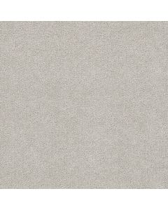 Dreamweaver Cape Cod Andes Carpet - DW-2540-924