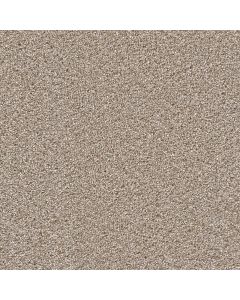 Dreamweaver Cape Cod Ash Carpet - DW-2540-945