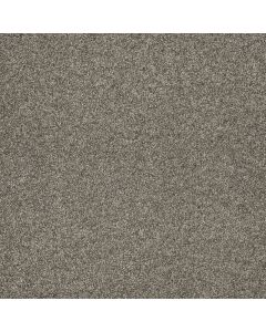 Dreamweaver Astounding II Baymont Carpet - DW-2545-805
