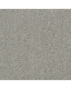 Dreamweaver Astounding II Nordic Mist Carpet - DW-2545-837
