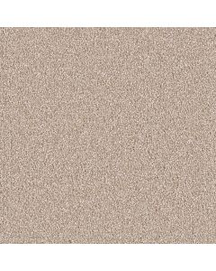 Dreamweaver East Hampton Sawgrass Carpet - DW-2550-701