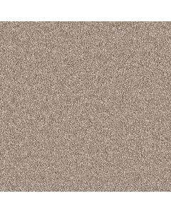 Dreamweaver East Hampton Quail Carpet - DW-2550-725