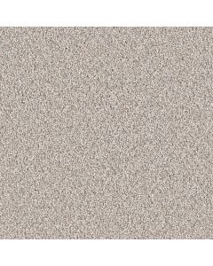 Dreamweaver East Hampton Iron Frost Carpet - DW-2550-815