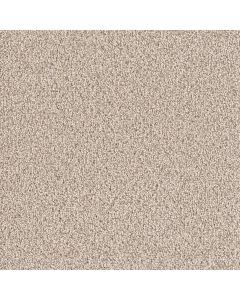 Dreamweaver East Hampton Linen Carpet - DW-2550-824