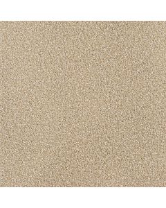 Dreamweaver Montauk Sawgrass Carpet - DW-2560-701