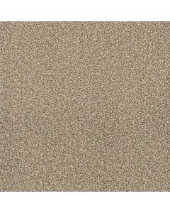 Dreamweaver Montauk Quail Carpet - DW-2560-725