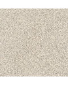 Dreamweaver Montauk Parchment Carpet - DW-2560-744