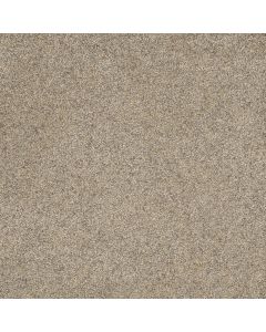 Dreamweaver Astounding III Morning Dew Carpet - DW-2565-508