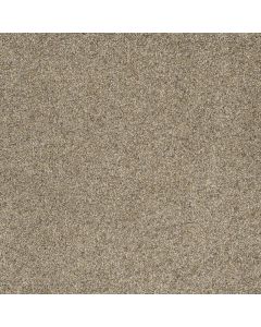 Dreamweaver Astounding III Amberwood Carpet - DW-2565-529