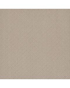 Dreamweaver Stellar Champagne Fizz Carpet - DW-2725-6309
