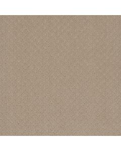 Dreamweaver Stellar Soft Pine Carpet - DW-2725-6317