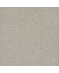 Dreamweaver Stellar Snow Cap Carpet - DW-2725-6319