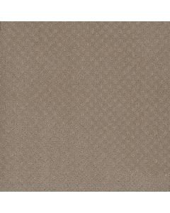 Dreamweaver Stellar Warm Sand Carpet - DW-2725-6339