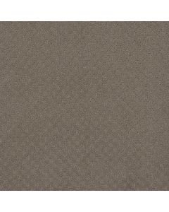 Dreamweaver Stellar Topaz Carpet - DW-2725-6410