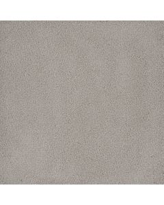 Dreamweaver Palmetto I Royalty Carpet - DW-2732-2240