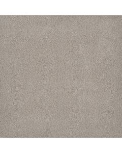 Dreamweaver Palmetto I Gardenia Carpet - DW-2732-2266