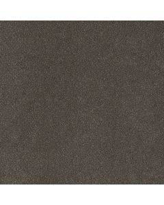 Dreamweaver Palmetto II Bear Paw Carpet - DW-2740-2064