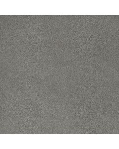 Dreamweaver Palmetto II Waterlily Carpet - DW-2740-2153