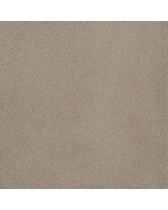 Dreamweaver Palmetto II Sun Washed Carpet - DW-2740-2235