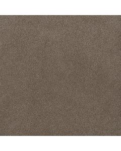 Dreamweaver Palmetto III Eagle Crest Carpet - DW-2750-2114