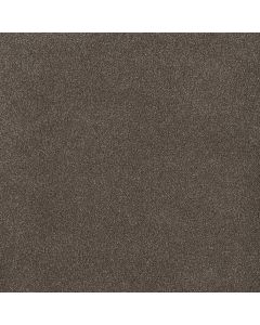 Dreamweaver Palmetto III Tea Time Carpet - DW-2750-2189