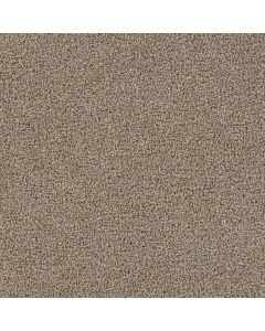 Dreamweaver Goose Hill Iced Coffee Carpet - DW-2828-373