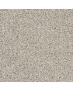 Dreamweaver Goose Hill Light Bisque Carpet - DW-2828-4484