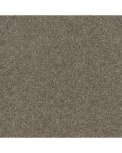 Dreamweaver Goose Hill Old Harbor Carpet - DW-2828-579