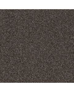 Dreamweaver Goose Hill Coconut Shell Carpet - DW-2828-922