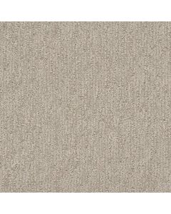 Dreamweaver Finishing Touch Cosmo Carpet - DW-2835-2849
