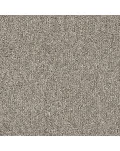 Dreamweaver Finishing Touch Greige Carpet - DW-2835-2850