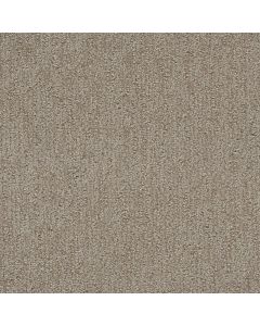 Dreamweaver Finishing Touch Old Soul Carpet - DW-2835-2870
