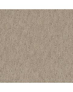 Dreamweaver Finishing Touch Dulce Carpet - DW-2835-2937