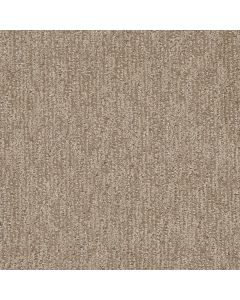 Dreamweaver Finishing Touch Shortbread Carpet - DW-2835-2946