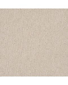 Dreamweaver Finishing Touch Macaroon Carpet - DW-2835-2951