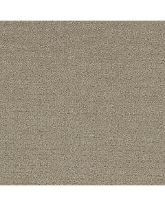 Dreamweaver Common Ground Fieldcrest Carpet - DW-2845-6001