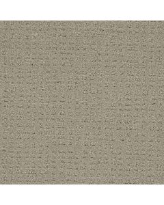 Dreamweaver Common Ground Beach House Carpet - DW-2845-6005
