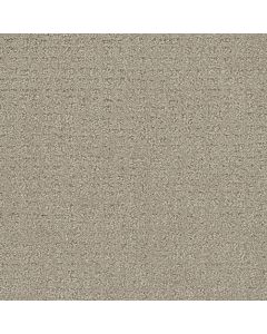 Dreamweaver Common Ground Moon Mist Carpet - DW-2845-6006