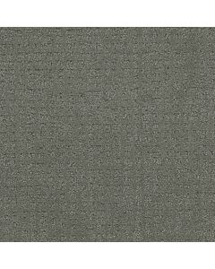 Dreamweaver Common Ground Skyway Carpet - DW-2845-6009