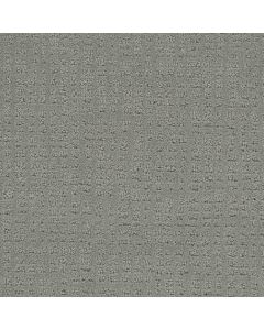 Dreamweaver Common Ground Stillwater Carpet - DW-2845-6014