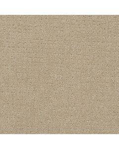 Dreamweaver Common Ground Soft Pine Carpet - DW-2845-6317