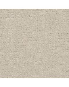 Dreamweaver Common Ground Alabaster Carpet - DW-2845-6328