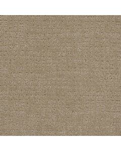 Dreamweaver Common Ground Warm Sand Carpet - DW-2845-6339