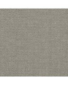 Dreamweaver Common Ground Graystone Carpet - DW-2845-6341