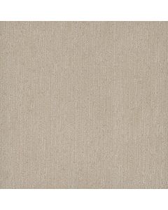 Dreamweaver Smooth Sailing Beach Butter Carpet - DW-2875-2838