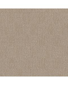Dreamweaver Classic Elements Frosted Coconut Carpet - DW-2935-4920