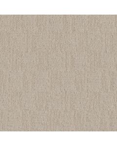 Dreamweaver Classic Elements Vanilla Bean Carpet - DW-2935-5047