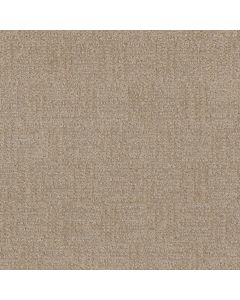 Dreamweaver Classic Elements Milk & Honey Carpet - DW-2935-5122